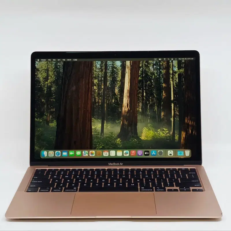 APPLE 2020 맥북에어13 256GB 인텔 마지막버전 중고 노트북 애플 MWTL2KH