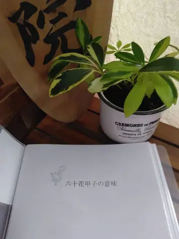 사명학 교재 [ 육십갑자 ] 숙명수 계산법 포함
