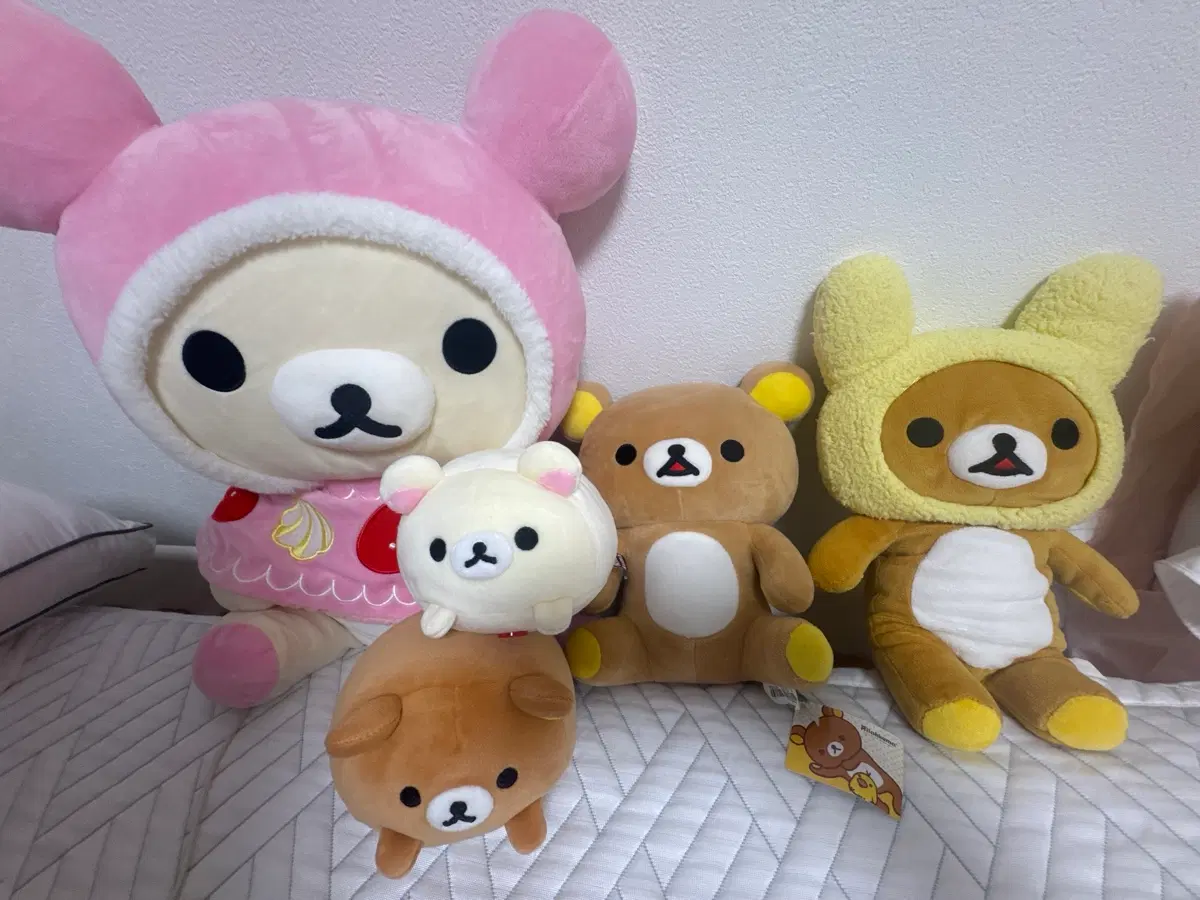 리락쿠마 코리락쿠마 인형 일괄