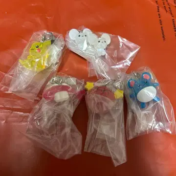 포켓몬 메지루시 액세서리 2 컴플리트 세트