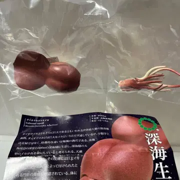 네이처 테크니컬러 심해 생물 체인 다이오우호즈키이카