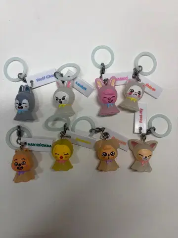 SKZOO 스키즈 메지루시 액세서리 컴플리트