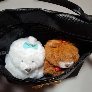 리본 포함 블랙 숄더백 & 모후견 차우넨