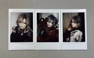 Royz 스바루 폴라로이드