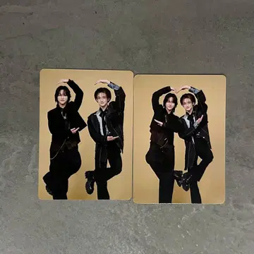 ROIROM 로이롬 트레이딩 카드 혼다 타히로 하마카와 로키 mystique 굿즈