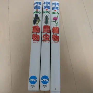소학관의 도감 NEO 3권 묶음 판매