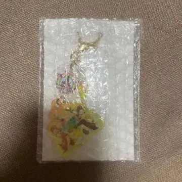 디즈니 헬로 헬로 썸머 키체인 칩과 데일 시크릿