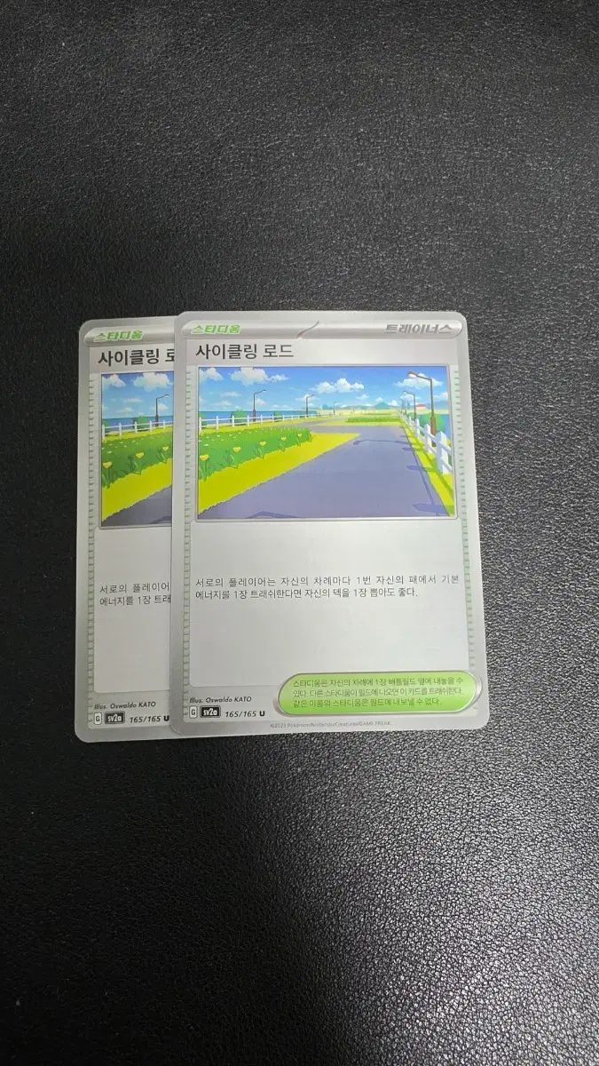 포켓몬 카드 사이클링 로드 트레이너