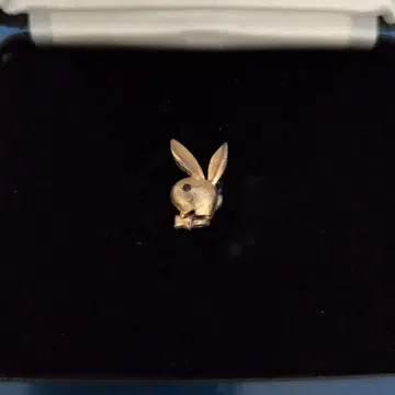 빈티지 플레이보이 PLAY BOY 핀 배지 배치 액세서리