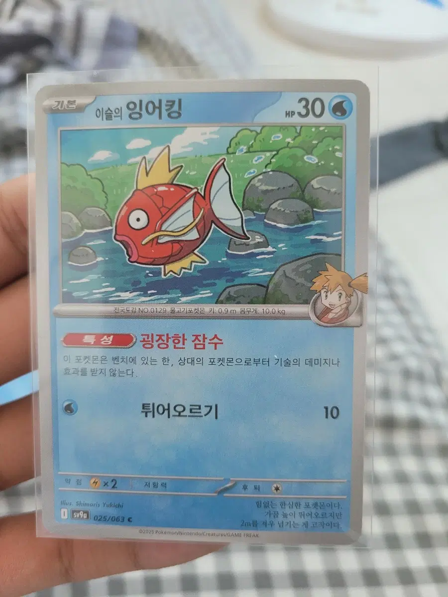 포켓몬카드 잉어킹