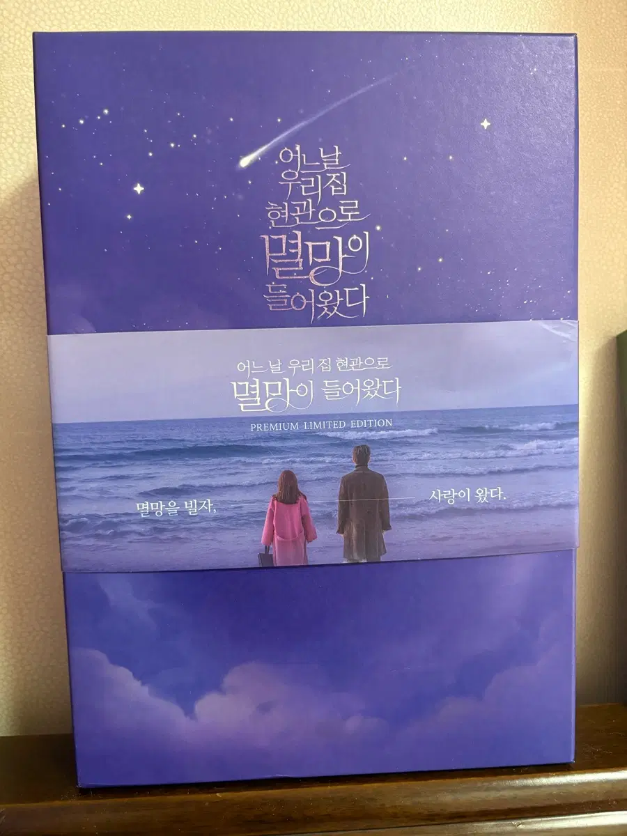 어느 날 우리 집 현관으로 멸망이 들어왔다 프리미엄 한정판 / 서인국 박보영 / 풀구성
