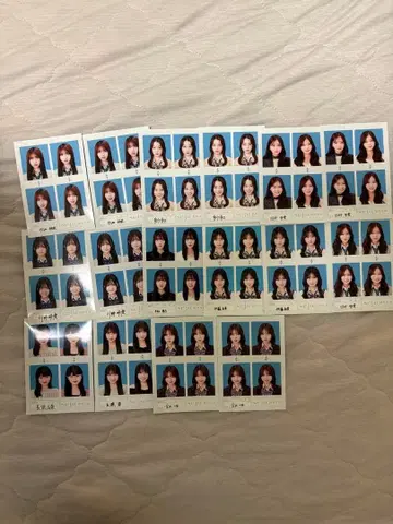 증명사진풍 포토 카드 낱개 판매 가능