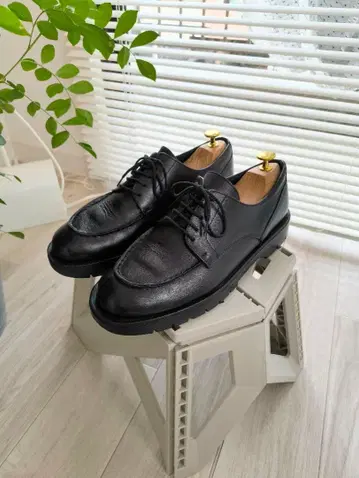 KLEMAN FRODAN | 프로단 42 BLACK