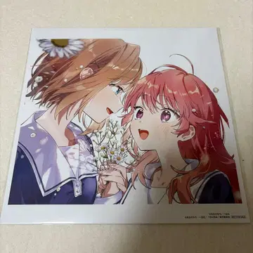 네가 죽을 때까지 사랑하고 싶어 CD Amore 혜택 메가 자켓