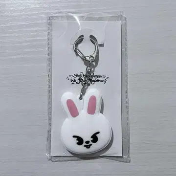 StrayKids EXHIBITION 키 커버 리비트