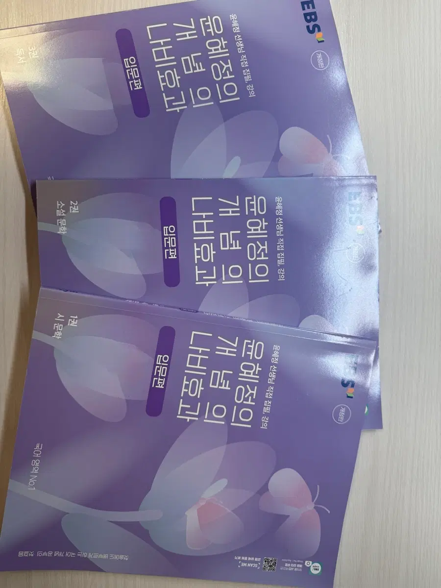 EBS 윤혜정의 개념의 나비효과 입문편