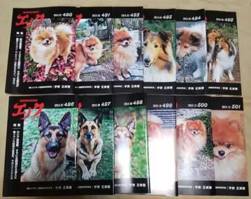 구하기 어려움 에녹 12권 세트 490호~501호 우노 마사미 국제 시사 정보지