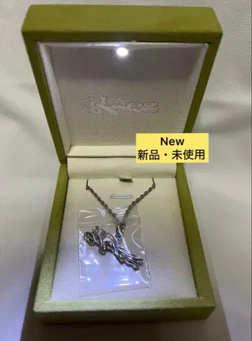 IDEASWAM 목걸이