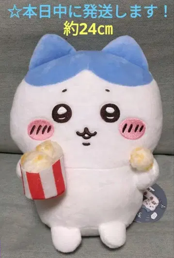 [치이카와 (먼작귀) 같이 먹어요 팝콘 봉제 인형 [하치와레]]