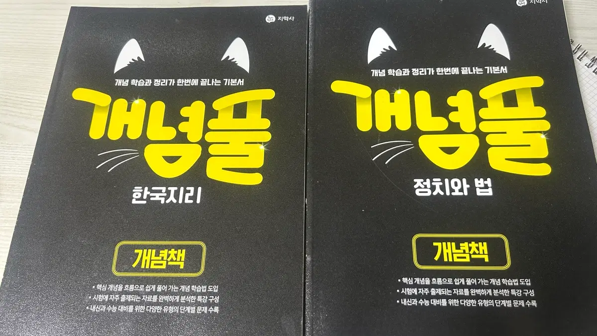 개념풀 한국지리 정치와 법 팔아요