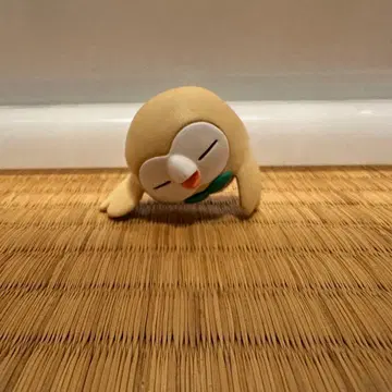 포켓몬 모쿠로 후치피토