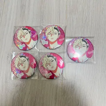 비바렌 XlamV 캔뱃지 팬미 레온 5개
