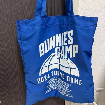 NEWJEANS Bunnies Camp 2024 토트백