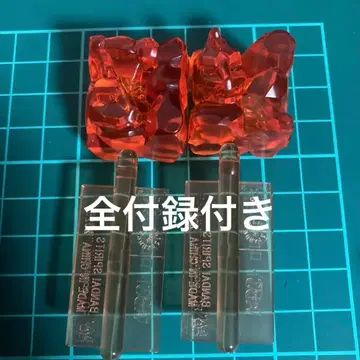 아이언 테일 레어 클리어 2종 플라콜 탐험 포켓몬