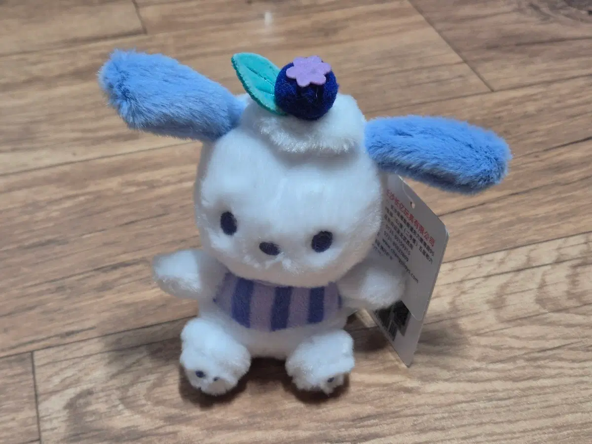 산리오 과일시리즈 블루베리 포차코 인형키링