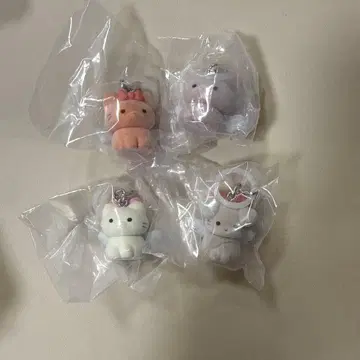 오인보인 메지루시 컴플리트