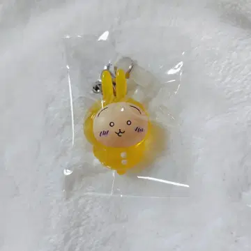 치이카와 메지루시 액세서리 1 토끼 파자마 파티