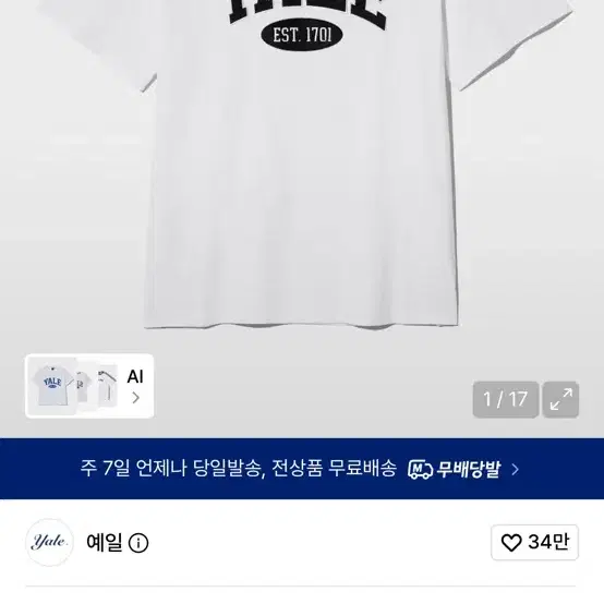 예일 반팔티 s
