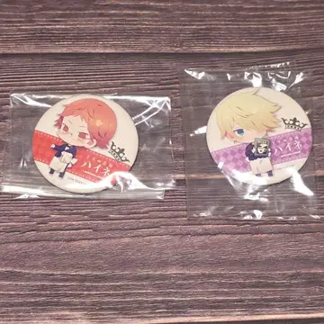 왕실교사 하이네 애니메이트 카페 캔뱃지 2종 세트