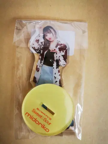 ExWHYZ midoriko 아크릴 스탠드
