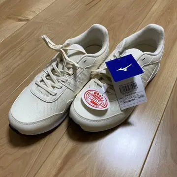 미즈노 워킹화