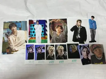 초특급 아로하 브로마이드 트레이딩 카드 묶음 판매