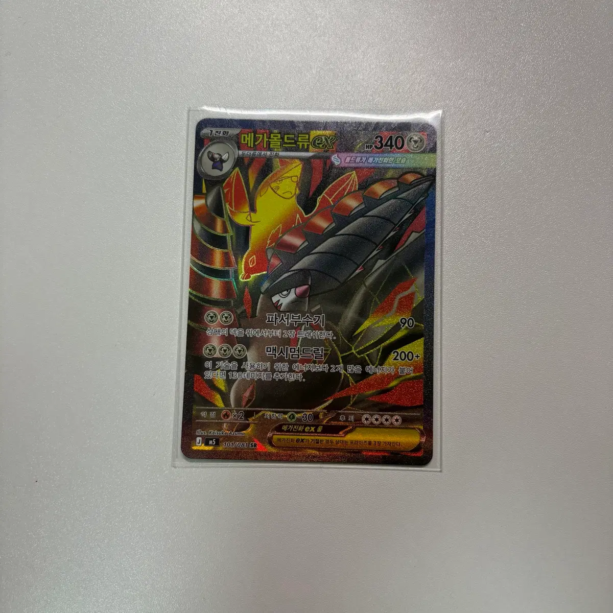 메가몰드류 EX 101/081 SR 포켓몬 카드 포켓몬스터