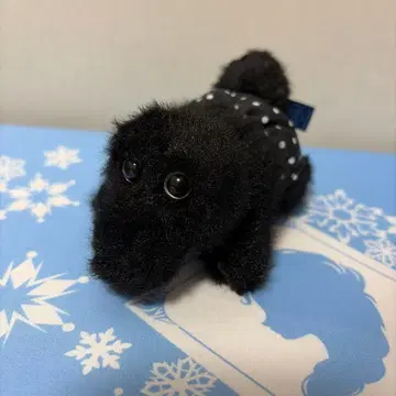 와리 프렌즈 하이하이 시크릿