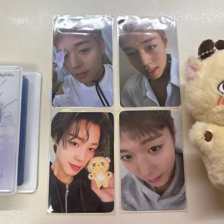 박지훈 굿즈 소심이,콜렉트북,포카