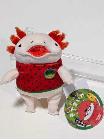 구마모토 한정판 모찌 시리즈 모찌우파 (수박) 미니 봉제 인형 정품