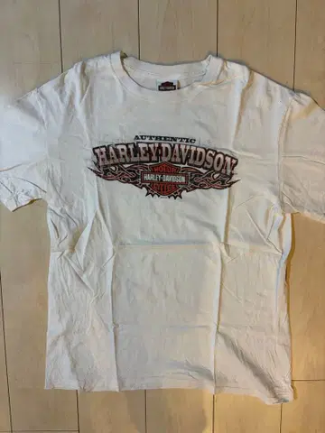 Harley-Davidson T셔츠 2013 할리 프론트 프린트