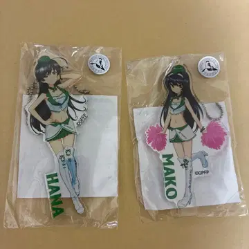 아크릴 POP PACIFIC RACING TEAM 걸즈 & 판처