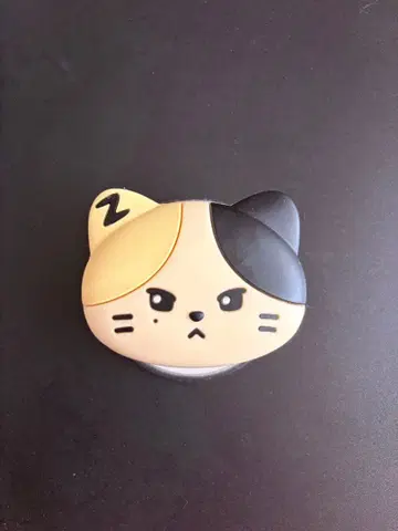 ZB1 제베원 리키 리니니 MagSafe 스마트폰 그립