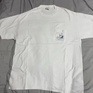 Hanes BEEFY T셔츠 XL