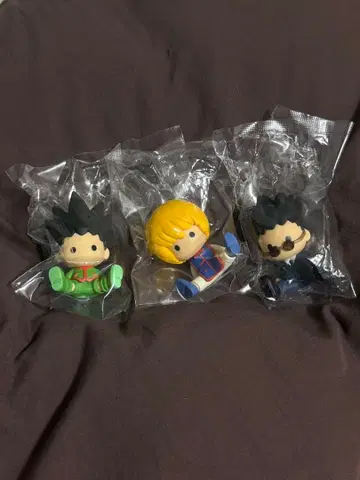 HUNTER x HUNTER 페타도르 곤 크라피카 레오리오