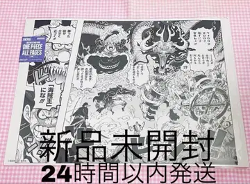 ONE PIECE ALL PAGES 와노쿠니편 카이도