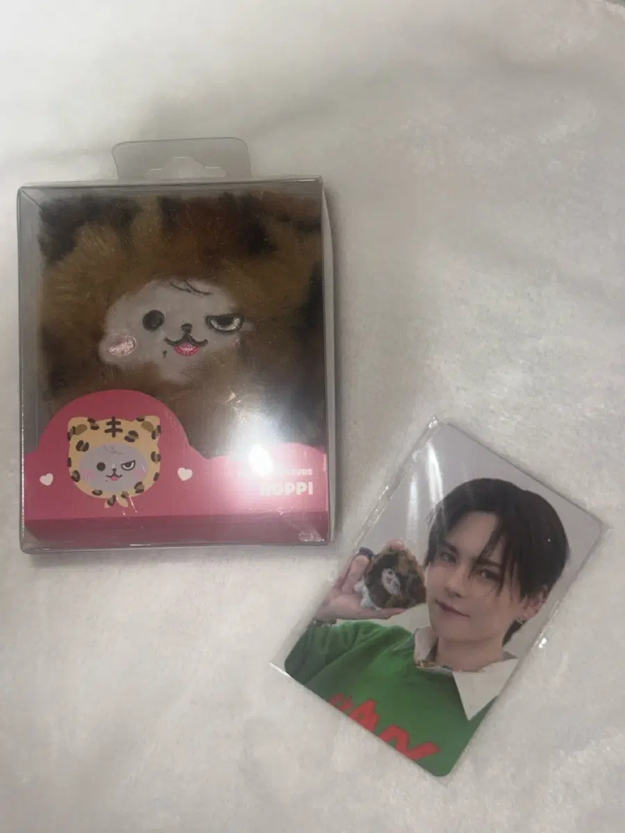 퍼니 트레저 요시 인형 (호피) + 포카