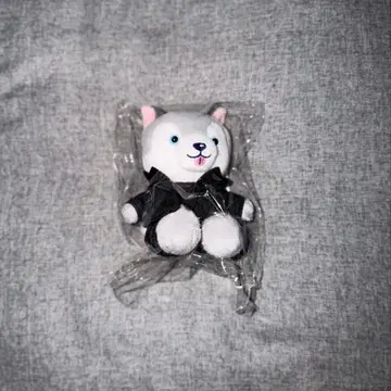 노킹 온 락드 도어 토리견 봉제 인형