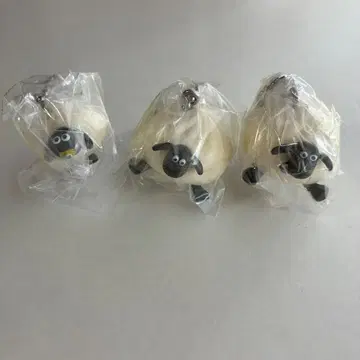 숀더쉽 사우나 스윙