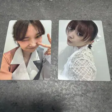 ExWHYZ maho 카드 2장